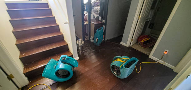  Magnolia Springs, AL Water damage restoration Pros