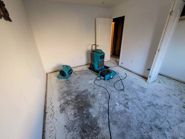 Carpet water damage restoration in Magnolia Springs, AL