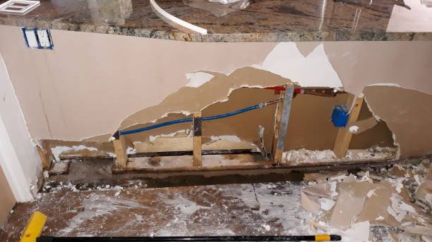 Best Water damage mitigation services  in Magnolia Springs, AL