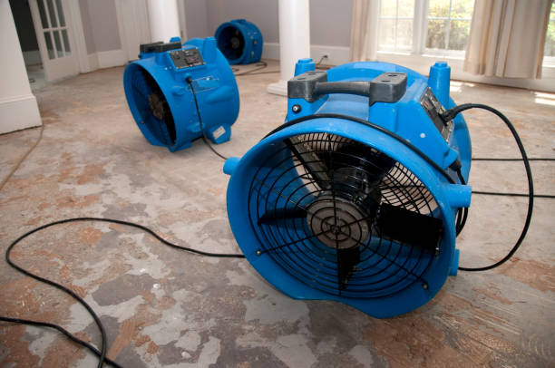 Best Fire Damage Restoration  in Magnolia Springs, AL