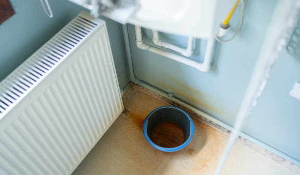 Best Water damage restoration company  in Magnolia Springs, AL