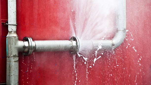 Best Flood restoration services  in Magnolia Springs, AL