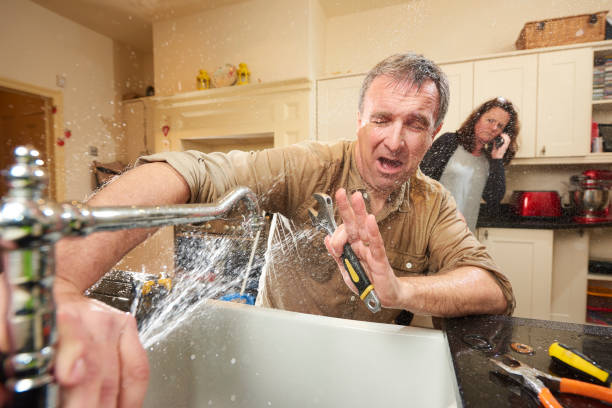 Best Carpet water damage restoration  in Magnolia Springs, AL